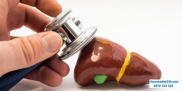 Vai trò và chức năng của men gan