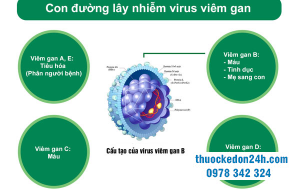 Viêm gan E là bệnh gì? Có gì khác với viêm gan B?