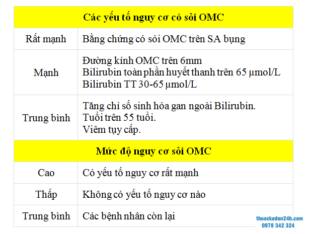 Nguy cơ sỏi Ống mật chủ