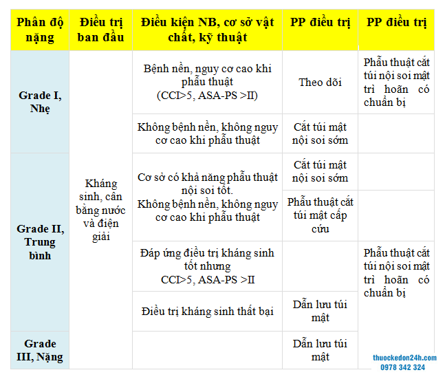 Lựa chọn điều trị sỏi ống mật chủ