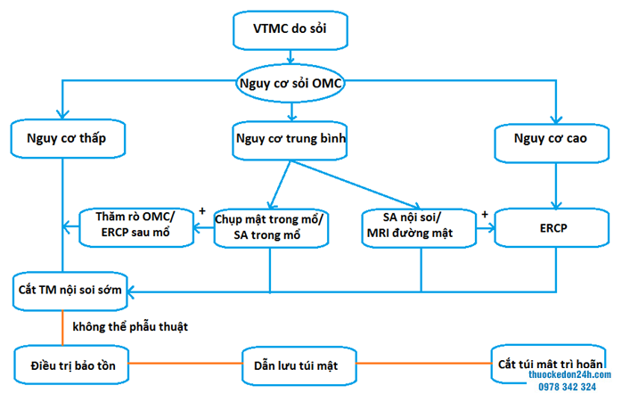 Lựa chọn thăm dò chẩn đoán sỏi ống mật chủ