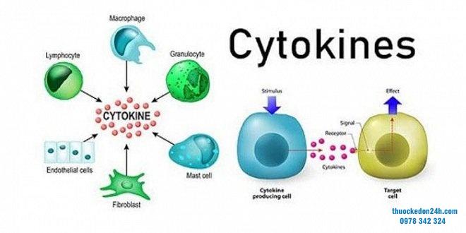 hội chứng giải phóng Cytokine-CRS