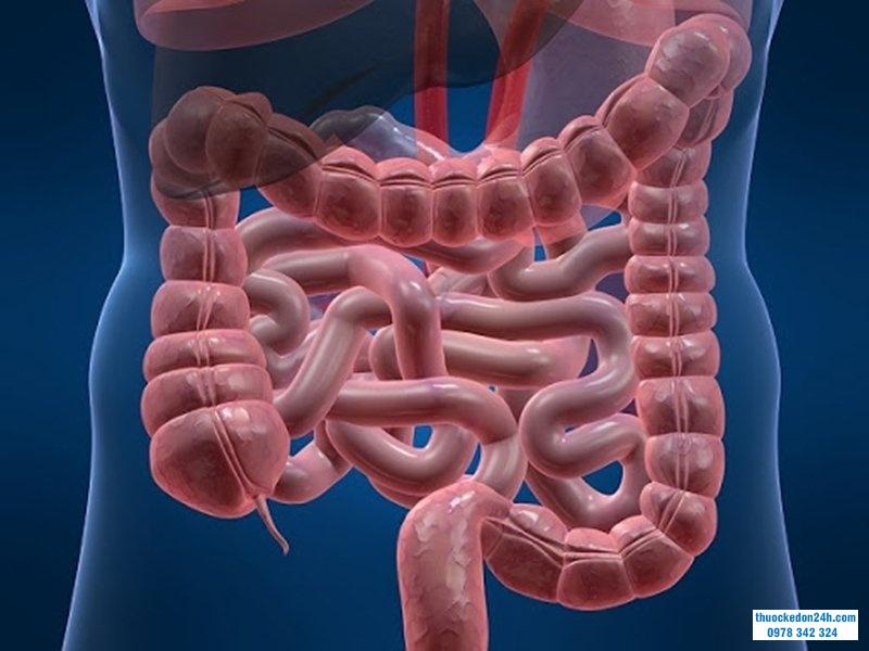 nguyên nhân sôi bụng