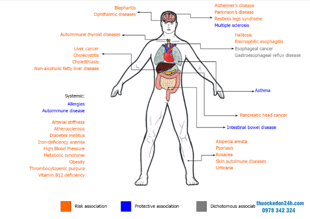 cac-bieu-hien-o-ngoai-da-day-khi-bi-nhiem-helicobacter-pylori