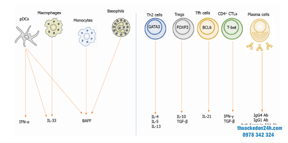 cytokin miễn dịch
