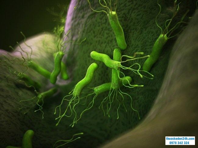 nhiễm helicobacter pylori