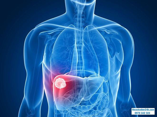 thụ thể kết hợp protein g